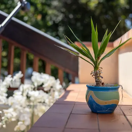 Apartmán Appartement Soulac